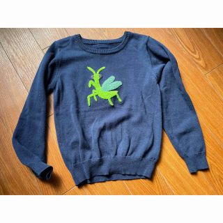 アースミュージックアンドエコロジー(earth music & ecology)のInsect Collection さがら刺繍かまきりくんニット (Tシャツ/カットソー)