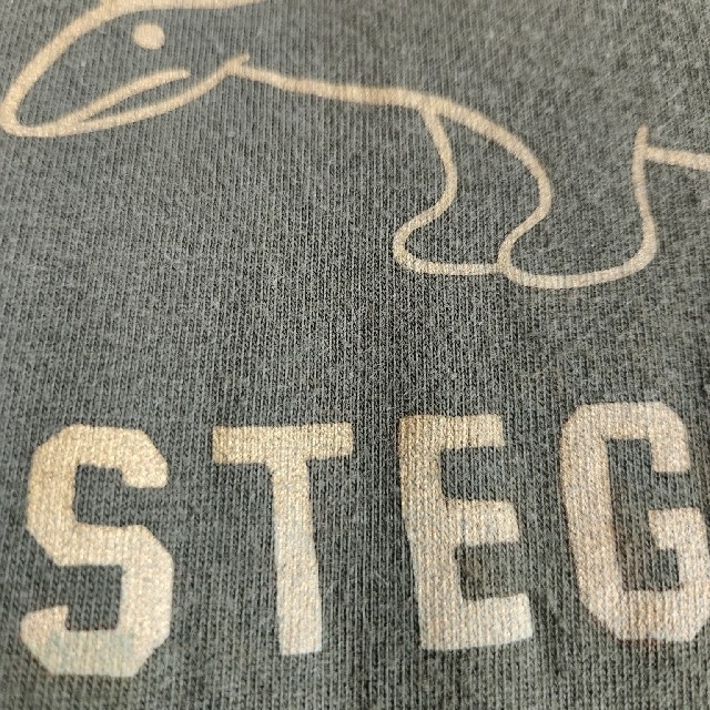 STEGOSAURUS長袖Tシャツ メンズのトップス(Tシャツ/カットソー(七分/長袖))の商品写真
