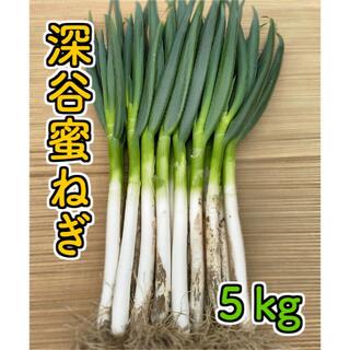 深谷蜜ねぎ５キロ(野菜)