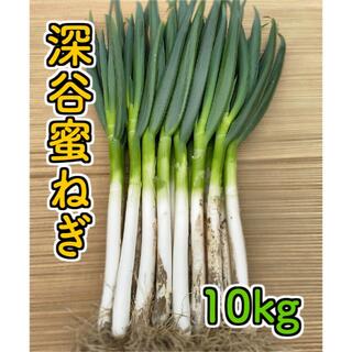 深谷蜜ねぎ10キロ(野菜)