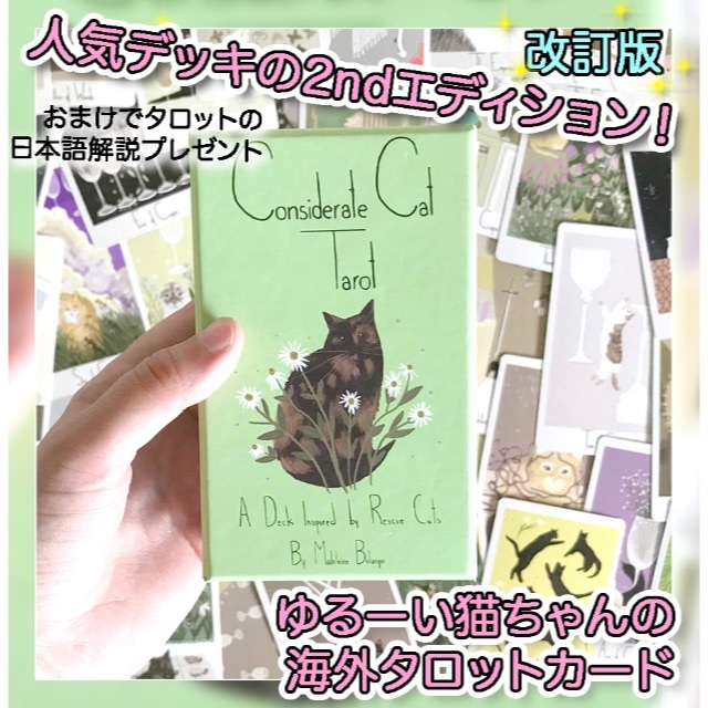 ✨海外人気デッキの再販✨猫ちゃん支援のキュートなタロットカード ...