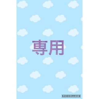 すけ  様  専用 複数購入(ネイルチップ)