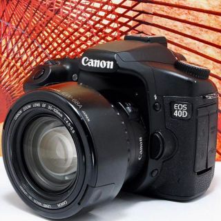 Canon - 【初心者おすすめ】Canon EOS 40D 高画質 簡単操作 本格一眼レフ
