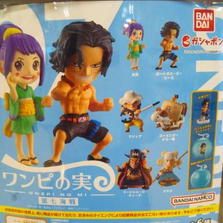 ワンピの実 第七海戦 全６種フルコンプ 新品・未開封品(キャラクターグッズ)