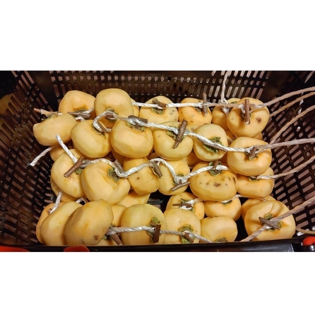 秋田県産 干し柿用 渋柿 かき 食品/飲料/酒の食品(フルーツ)の商品写真