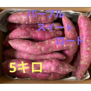 長野県産　パープルスイートロード　5キロ(野菜)