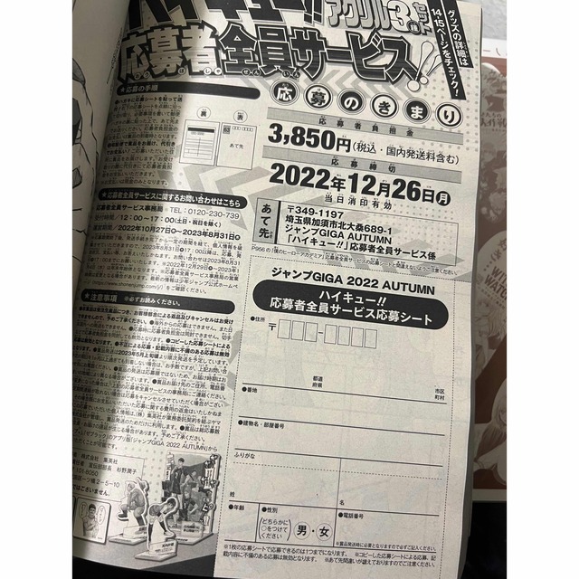 ジャンプGIGA (ギガ)2022 ハイキュー!! 全員サービス応募シート ジャンプGIGA (ギガ)2022 ハイキュー!! 全員サービス応募シート