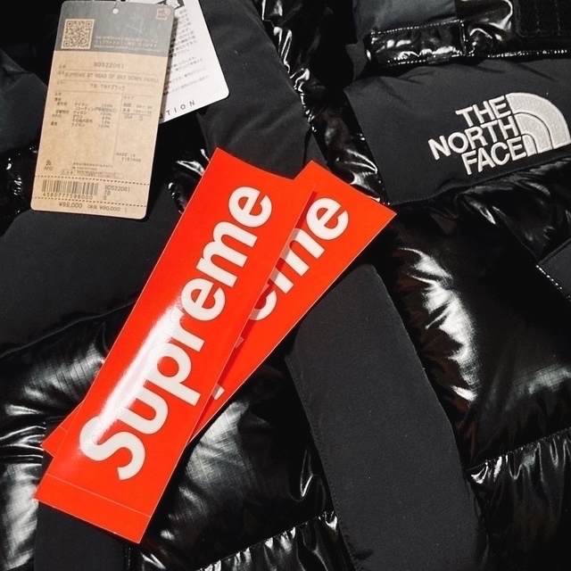 Supreme(シュプリーム)のSupreme / The North Face 700-Fill DP  S メンズのジャケット/アウター(ダウンジャケット)の商品写真