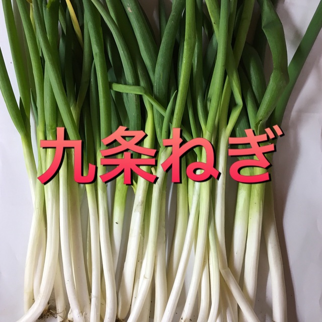 冬野菜BOX  Lサイズ　栃木より〜 食品/飲料/酒の食品(野菜)の商品写真