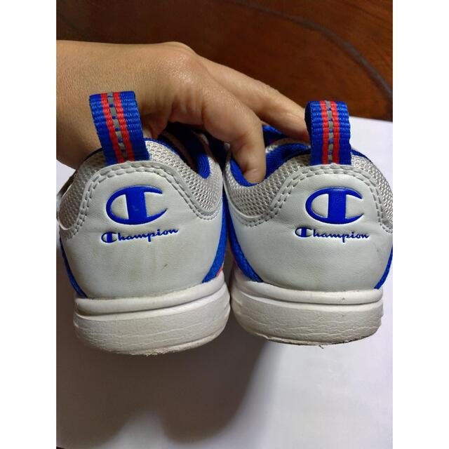 Champion(チャンピオン)の151）キッズ靴Champion中古19cm白×青 キッズ/ベビー/マタニティのキッズ靴/シューズ(15cm~)(スニーカー)の商品写真