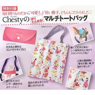 チェスティ(Chesty)の※専用※2点セット(ポーチ)