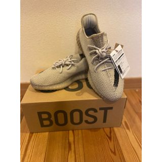 アディダス(adidas)のadidas YEEZY BOOST 350 V2 SLATE29cm(スニーカー)