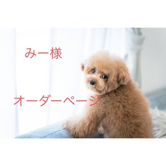 羊毛フェルト ハンドメイド みー様 オーダーページ bskampala.com