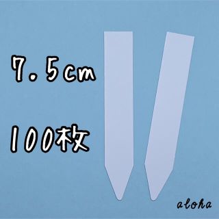 ホワイト　100枚 多肉植物 アガベ サボテンに◎ 園芸用 ラベル ネームラベル(その他)