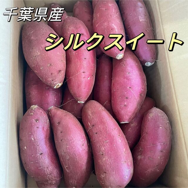 爆買いセール シルクスイート 千葉県産 箱含む5kg さつまいも