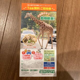 富士サファリパーク　チケット優待券(動物園)