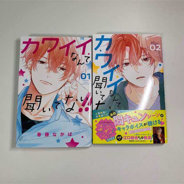 カワイイなんて聞いてない!! 1,2巻 エンタメ/ホビーの漫画(少女漫画)の商品写真