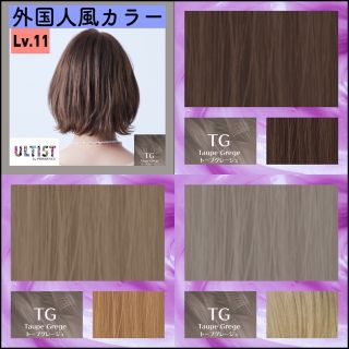 シセイドウ(SHISEIDO (資生堂))のアルティスト　ヘアカラー　白髪染め　ホワイトブリーチ　【１１）TG）グレージュ】(カラーリング剤)