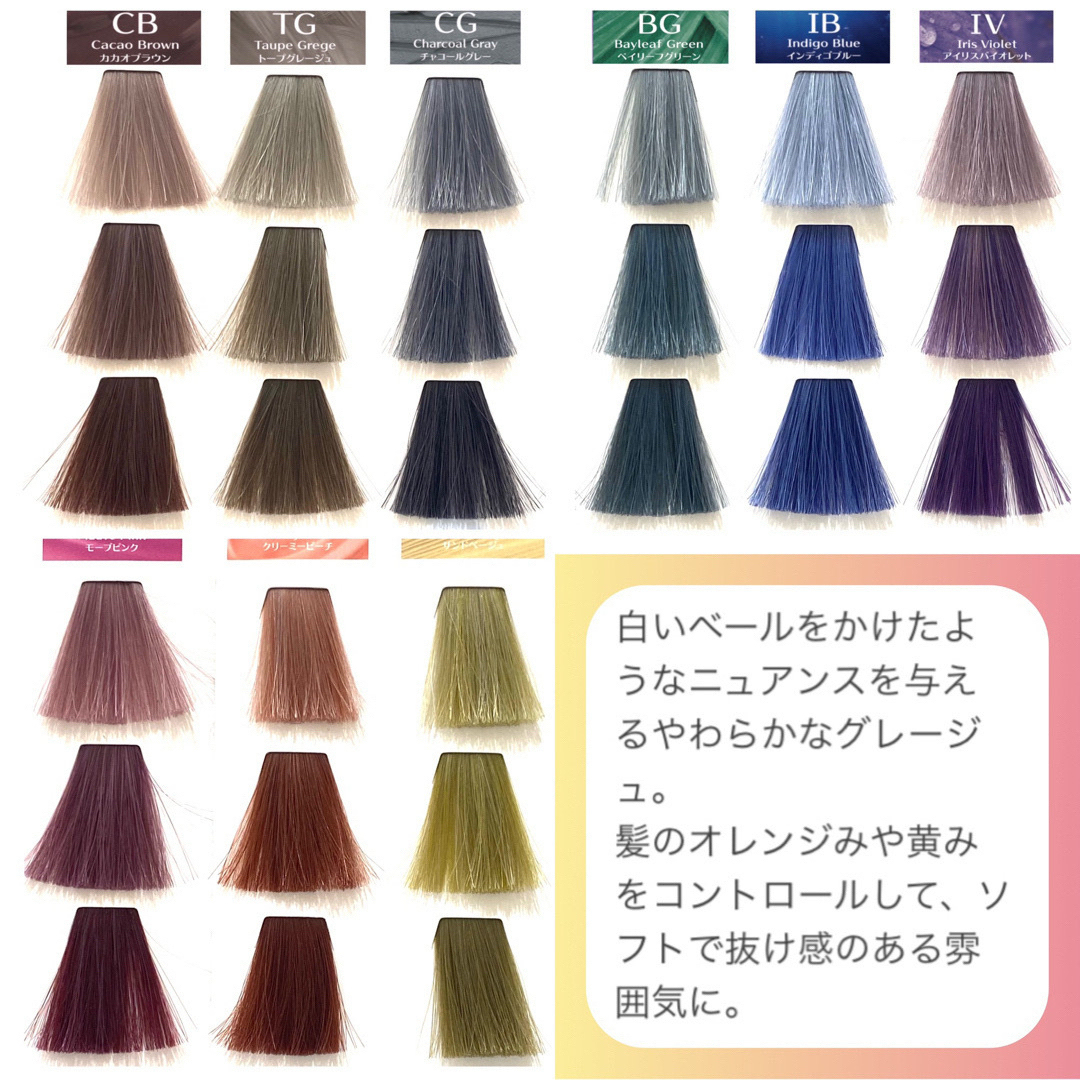 玄関先迄納品 資生堂プロフェッショナル - アルティスト【13）TG カラーリング・白髪染め