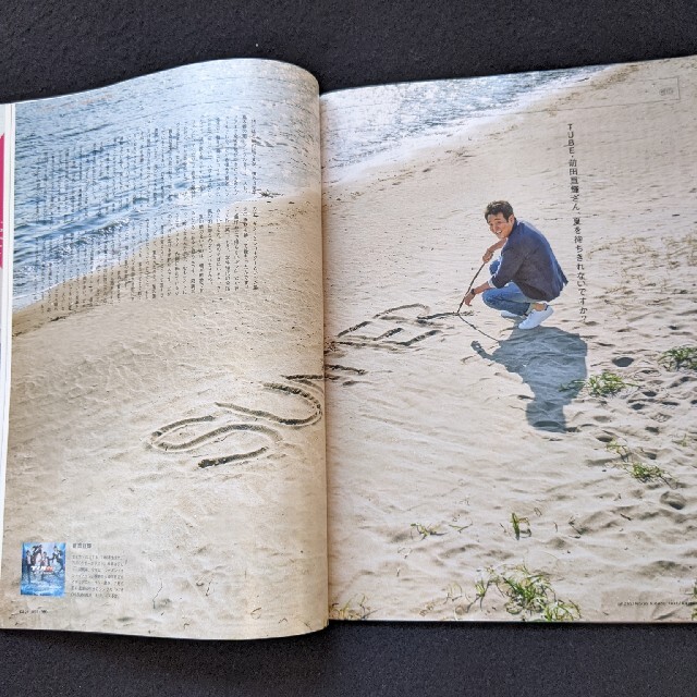 ブルータス　永井博　松本隆　南佳孝　杉山清貴　サマーソング　広瀬香美 エンタメ/ホビーの雑誌(趣味/スポーツ)の商品写真