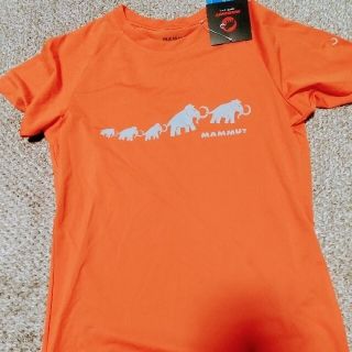 マムート(Mammut)のマムート  Tシャツ  MAMMUT  新品 未使用(Tシャツ(半袖/袖なし))