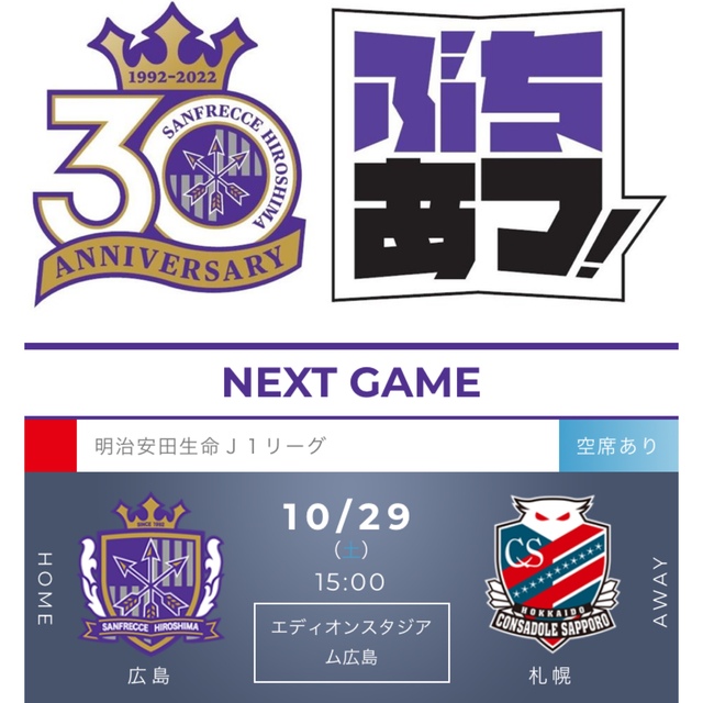 サンフレッチェ広島　vs  コンサドーレ札幌 チケットのスポーツ(サッカー)の商品写真
