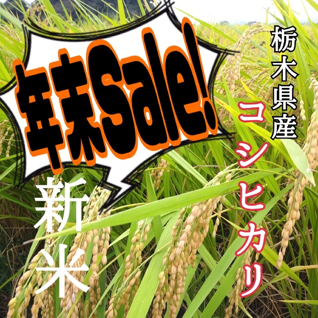 栃木県産　新米（令和4年産）【精白米】お試し6合(約900g) 食品/飲料/酒の食品(米/穀物)の商品写真