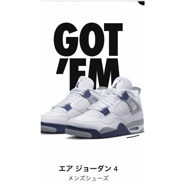 靴/シューズNike Air Jordan4