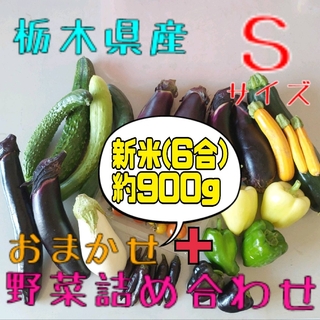 おまかせ野菜詰め合わせ＋新米(6合)約900g【コンパクトBOX】(野菜)