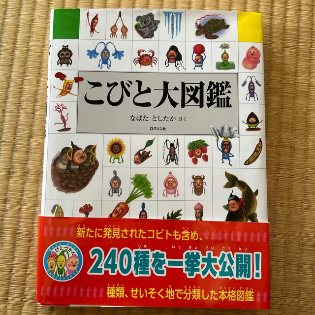 こびと大図鑑　研究本 エンタメ/ホビーの本(絵本/児童書)の商品写真