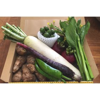 野菜詰め合わせ　コンパクトBOX(野菜)