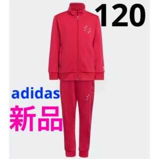 アディダス(adidas)の新品 adidas ジャージ トラックスーツ セットアップ 120cm ピンク(その他)