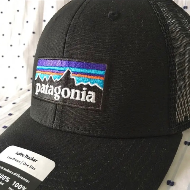 patagonia パタゴニア限定エンブロイディーLoProトラッカーキャップキャップ