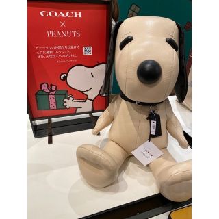 サントスピンク COACH X PEANUTS スヌーピー コレクティブドール