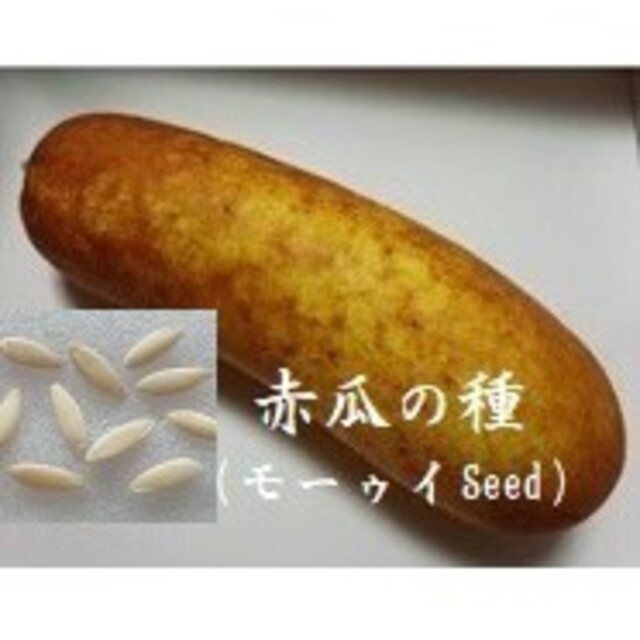 D1029 赤うり（モーウィ）の種30粒　伝統野菜Seed　島やさいタネ　種子 食品/飲料/酒の食品(野菜)の商品写真