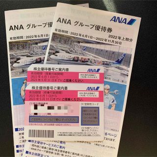 エーエヌエー(ゼンニッポンクウユ)(ANA(全日本空輸))の【ぐんべさん専用】ANA 株主優待券(その他)