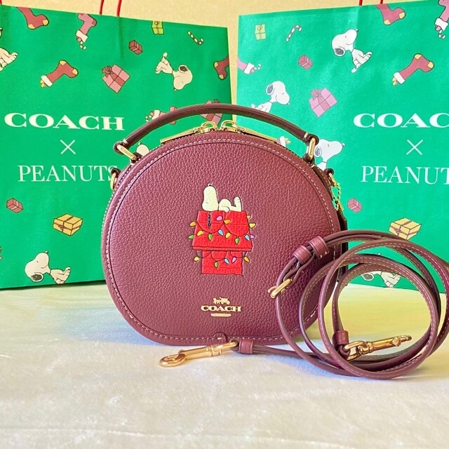 【極美品・希少品】 COACH スヌーピーバッグ 2way ハンドバッグ