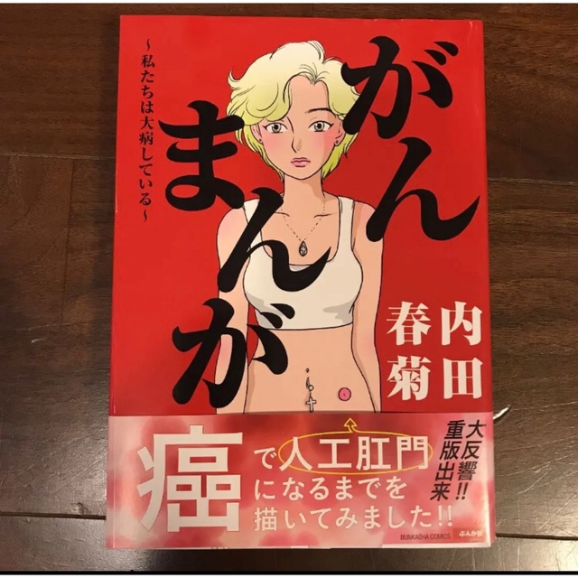 【匿名配送】がんまんが 私たちは大病している【内田春菊】 エンタメ/ホビーの漫画(青年漫画)の商品写真