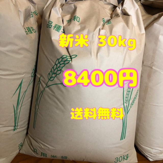 食品/飲料/酒玄米 30kg
