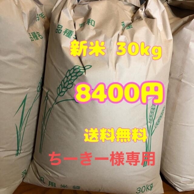 白米30kg　米/穀物
