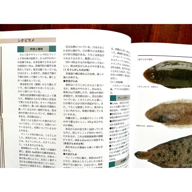 魚介料理辞典　全4巻 エンタメ/ホビーの本(料理/グルメ)の商品写真
