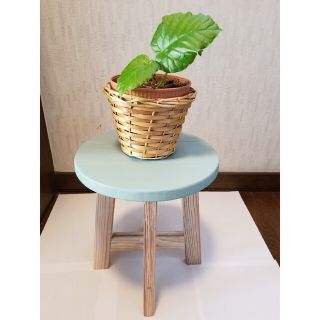 スツール　ハンドメイド　木製　グリーン　おしゃれ　花台　観葉植物台(スツール)