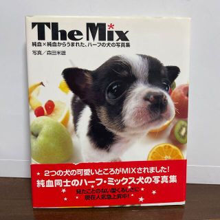 ワニブックス(ワニブックス)のＴｈｅ　ｍｉｘ 純血×純血からうまれた、ハ－フの犬の写真集(趣味/スポーツ/実用)