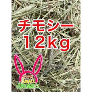 カナダ産　チモシー　12kg(ペットフード)