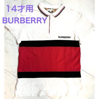 ポロラルフローレン(POLO RALPH LAUREN)の正規品　BURBERRY バーバリー ポロシャツ 14才用　160cm(ブラウス)