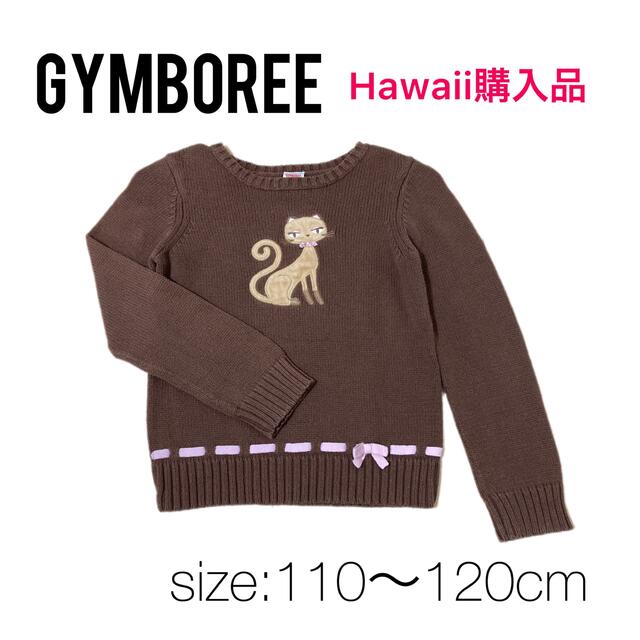 GYMBOREE(ジンボリー)の【ハワイで購入】ジンボリー　猫　セーター　女の子　秋冬　120cm 110cm キッズ/ベビー/マタニティのキッズ服女の子用(90cm~)(ニット)の商品写真