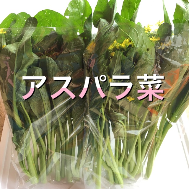 冬野菜BOX  Lサイズ　栃木より〜 食品/飲料/酒の食品(野菜)の商品写真