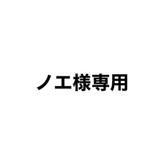 ノエ様専用(その他)