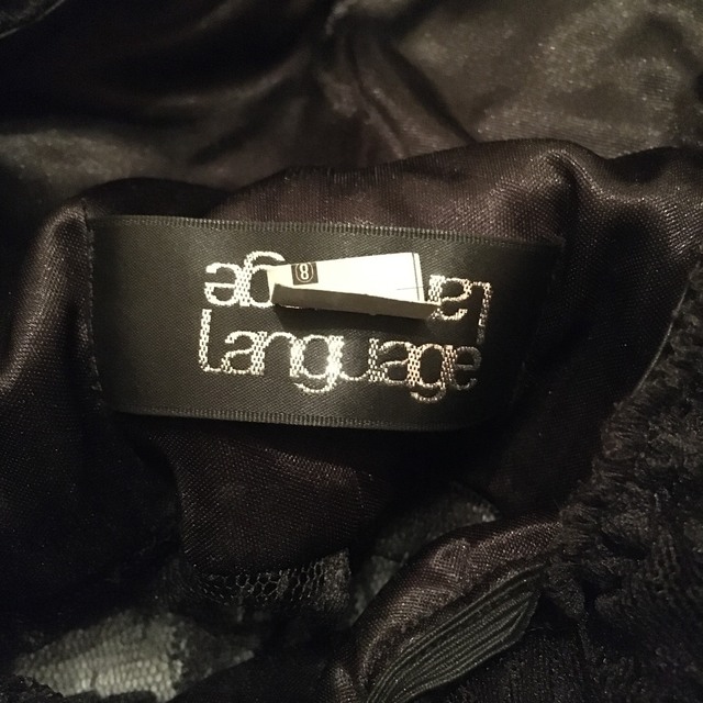 Language(ランゲージ)のlanguage ランゲージ  シースルー レース ブラウス 美品 透け感 ザラ レディースのトップス(シャツ/ブラウス(長袖/七分))の商品写真