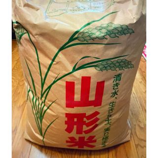 はえぬき お米 山形 新米 30キロ(米/穀物)